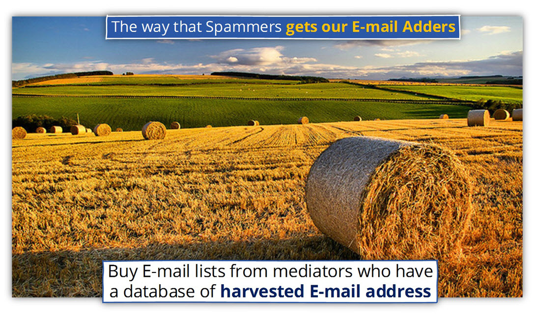Buy E-mail lists from mediators who have a database of harvested email address